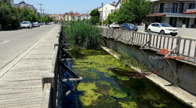 Fethiye'de kanalda kirlilik tepkisi