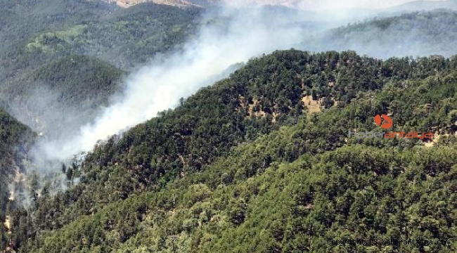 Isparta'da orman yangını