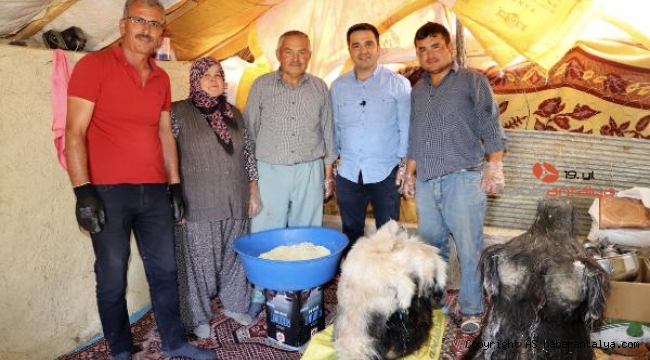 Keçi sütünden yapılan peynir, 4 ay kuyuda bekletilip yeniliyor