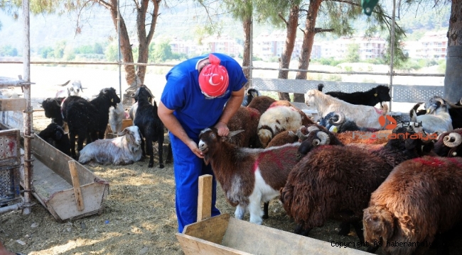 Kemer'de bayram denetimleri sürüyor