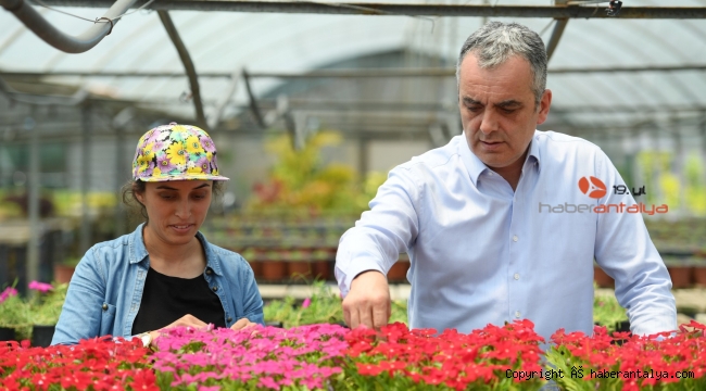 Konyaaltı Belediyesi 6 ayda 110 bin bitki üretti