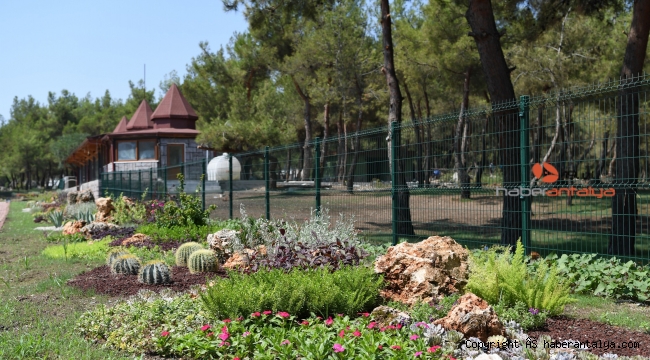 Konyaaltı, HayatPark'ı nakış gibi işliyor