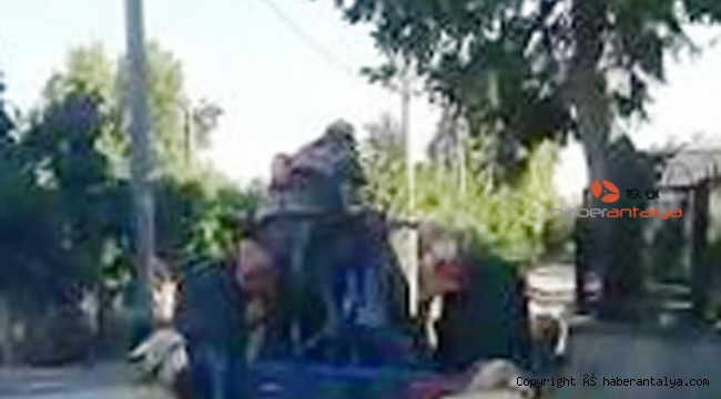 Koyunları traktörün arkasına bağlayarak götürdü