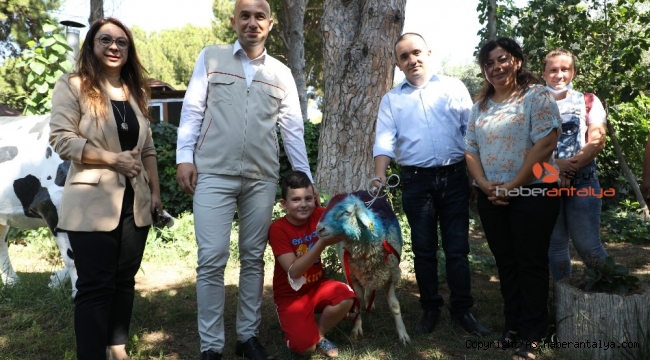 Kurban kesemeyen vatandaş CİMER'den kurbanlık talep etti, Bakan Pakdemirli gönderdi !