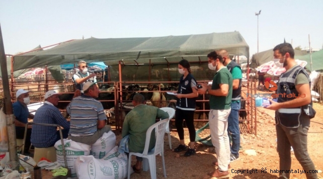 Kurban pazarında dolandırıcılık ve korona virüs uyarısı !