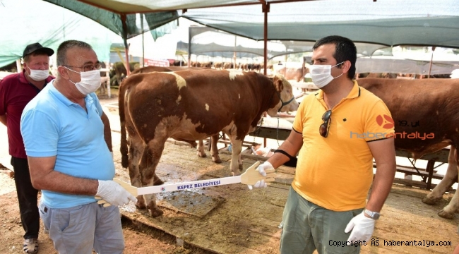 Kurban pazarlarına özel 'Pazarlık Kiti'