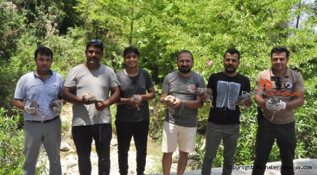 Manavgat'ta vatandaş istedi, doğaya 50 keklik bırakıldı