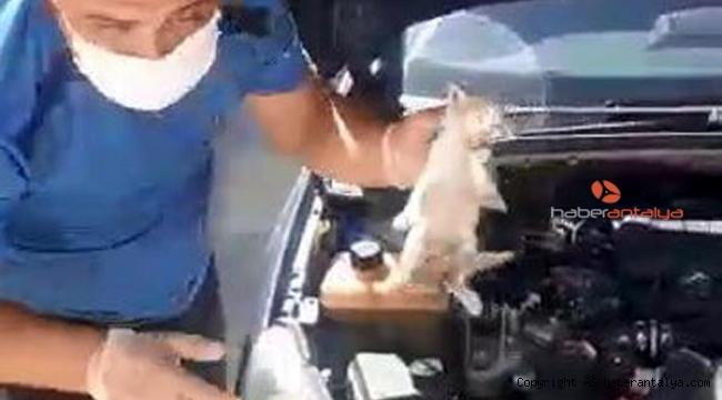 Motor kaputuna sıkışan yavru kedi kurtarıldı