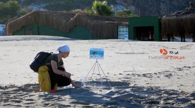 Patara Plajı'nda, caretta caretta yuva rekoru