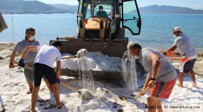 Plajlarda kuvars kumu ortaya çıktı !