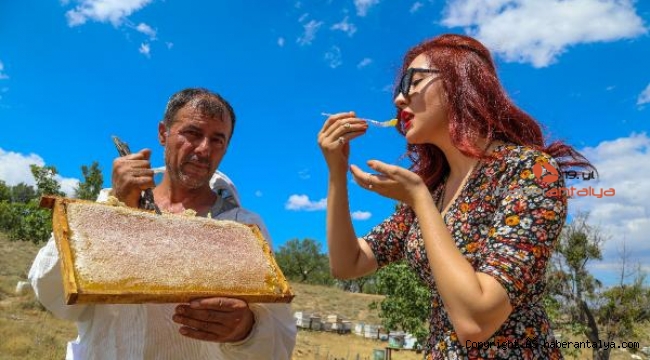Şifa kaynağı Lavanta balının kilosu bakın ne kadar ?