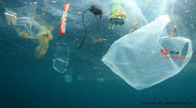 'Tek Kullanımlık Plastikler Yasaklansın' kampanyasına dev destek