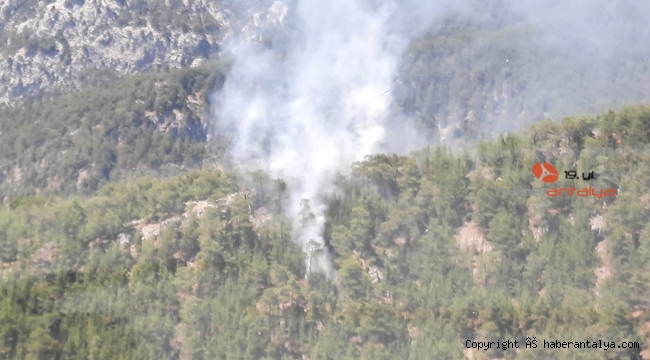 Antalya’da korkutan orman yangını