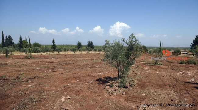 Antalya Orman Çiftliği'nin yapımı başladı