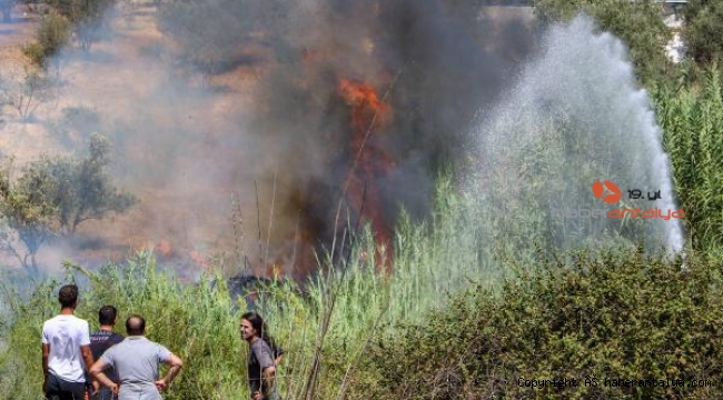 Antalya'da, seralara yakın otluk alanda yangın