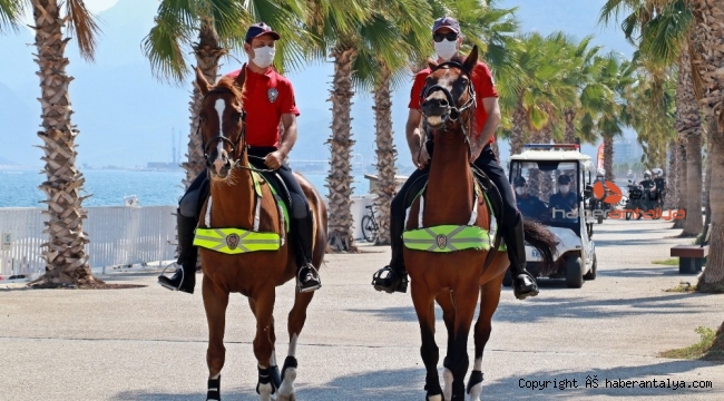 Antalya'da virüs uyarısının kodu: '2M-2E'