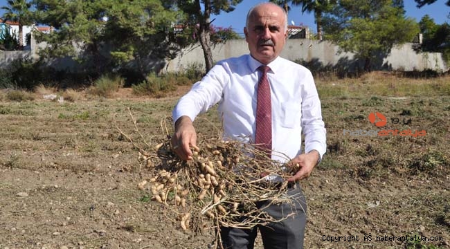 ANTBİRLİK'ten çiftçiye destek olacak karar !