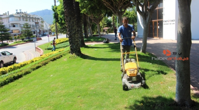 Büyükşehir, Kemer'de yeşil alanların bakımını yapıyor