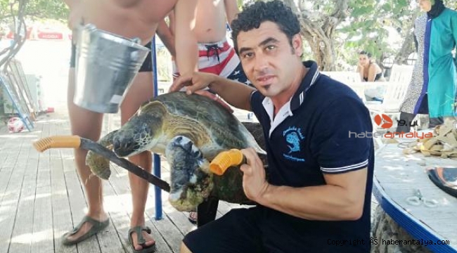 Deniz kaplumbağasının imdadına vatandaş yetişti