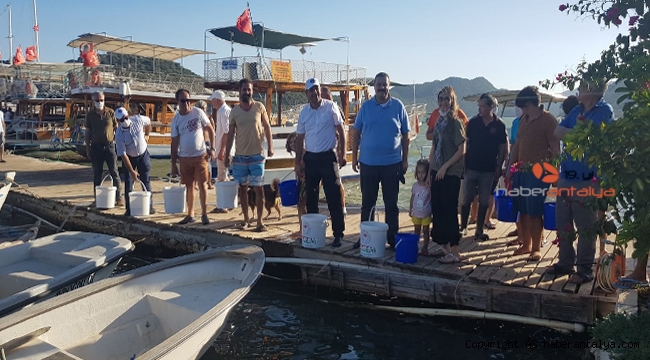 Kekova'da denize 15 bin yavru balık bırakıldı