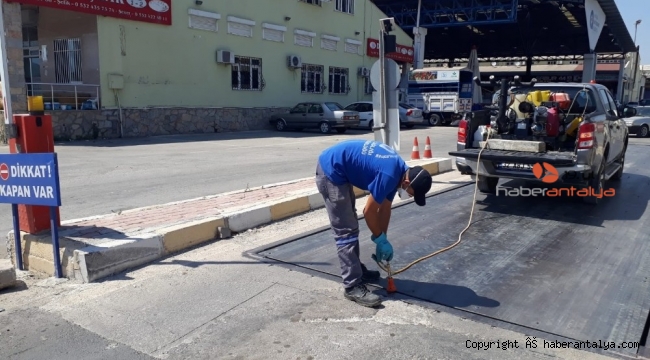 Kumluca ve Beykent Toptancı Halinde ilaçlama