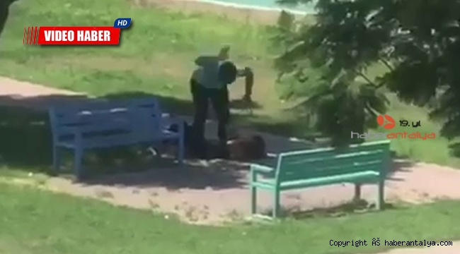 Parkın ortasında kadına şiddet !