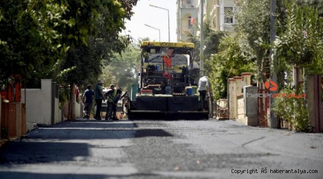 Yeni Mahalle'ye 10 kilometrelik asfalt