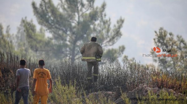 Adrasan'daki yangında 60 hektar ormanlık alan küle döndü