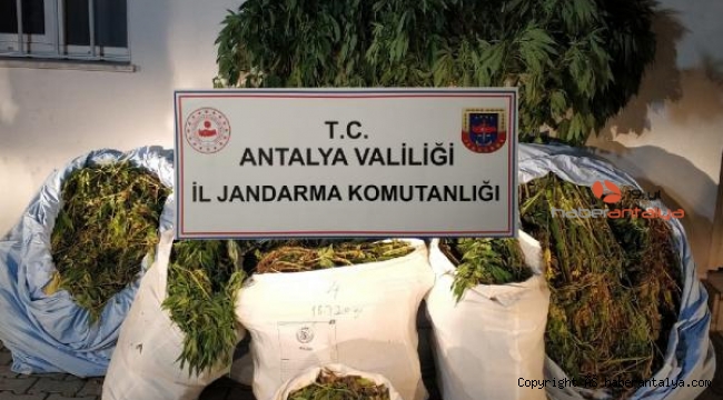 Antalya'da 161 kilo esrar ele geçirildi !