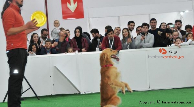 Antalya'da evcil hayvan ürünleri fuarı açılıyor 