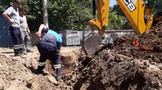 ASAT'tan Ormana'ya iyi haber