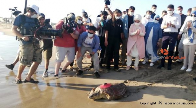 Caretta 'Likya' Libya'ya, 'Patara' Meis'e gitti