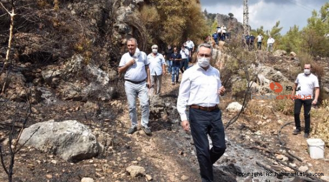 CHP'li Zeybek'ten orman yangınları önergesi