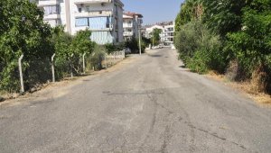 Dehşet ! 19 yaşındaki genç kız pompalı tüfekle öldürüldü !