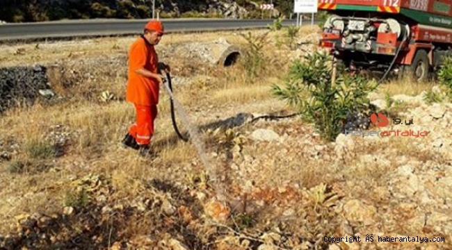 Hatıra ormanına bakım yapıldı 