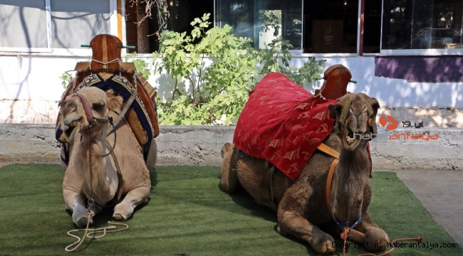 İndi bindi ücreti ticari taksiden daha pahalı