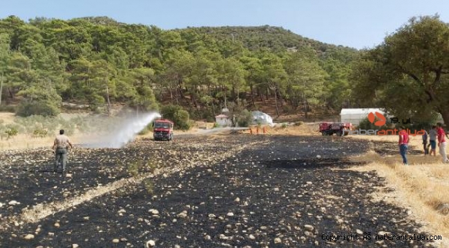 Kaş'ta orman yangını paniği