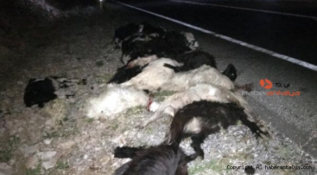 Katliam gibi kaza !