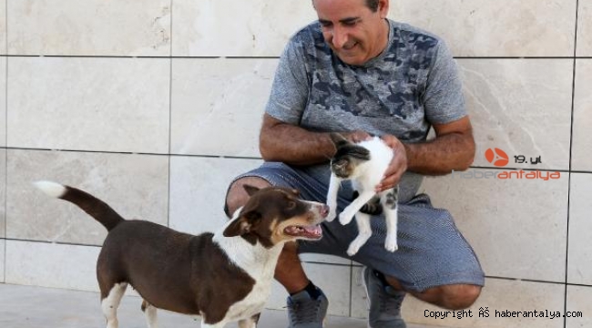 Köpek 'Max', üç yavru kediyi emziriyor