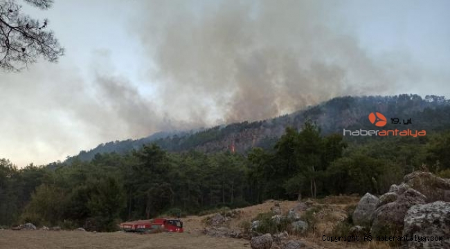 Serik'te orman yangını !