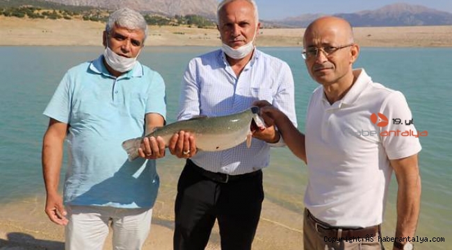 Türk somonu hasadı başladı
