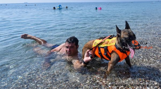 Türkiye'nin ilk cankurtaran köpeği Fox