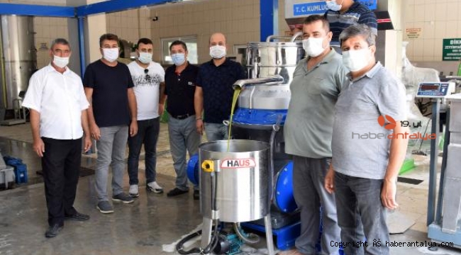 Zeytinyağı fabrikasında deneme üretimi