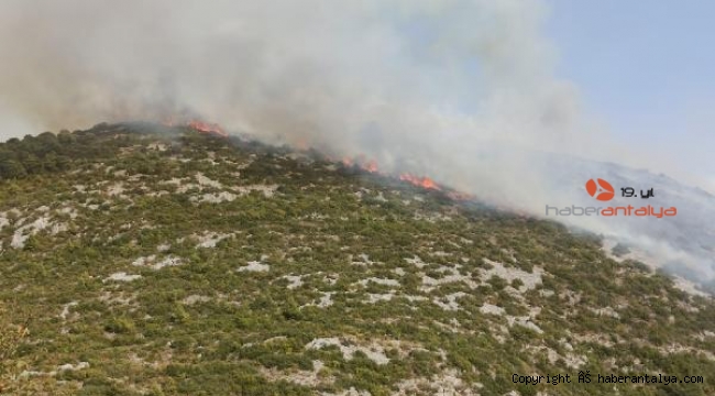 Alanya'da makilik alanda yangın