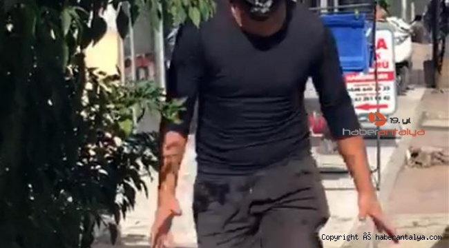Kadına şiddetin de böylesi. Antalya'da seyyar satıcıdan kadın zabıtaya saldırı