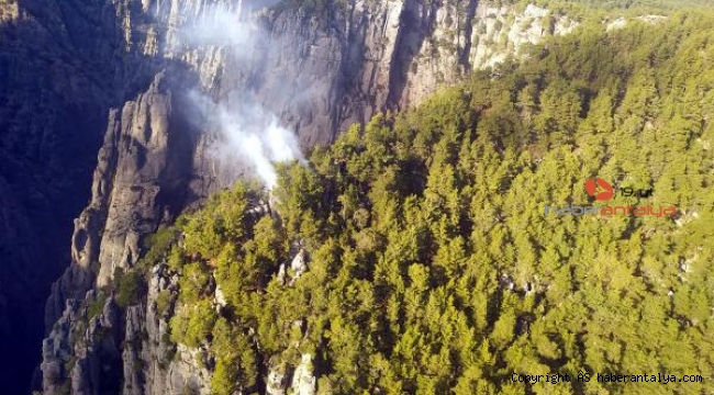 Antalya'daki Tazı Kanyonu'nda orman yangını