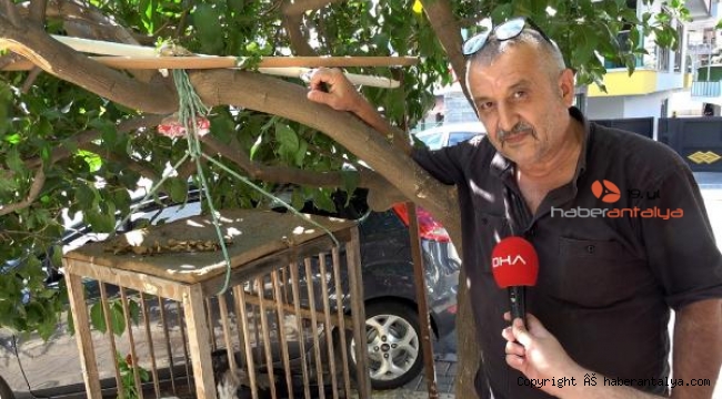 Bu karga her göreni şaşırtıyor !