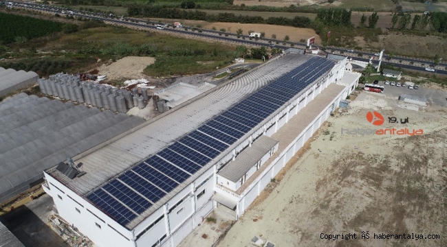 Enerjisini güneşten alan dev fabrika, yıllık 500 bin TL'lik tasarruf sağlıyor