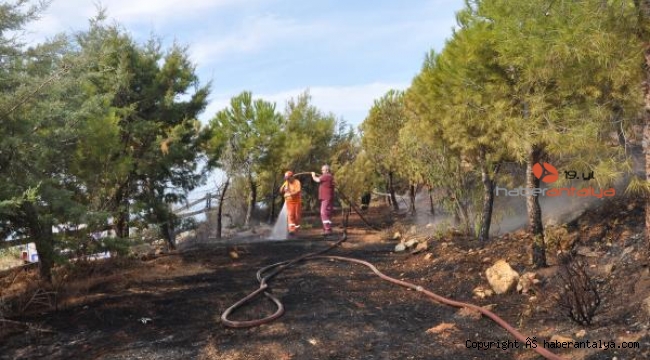 Gazipaşa Polis Hatıra Ormanı'nda yangın