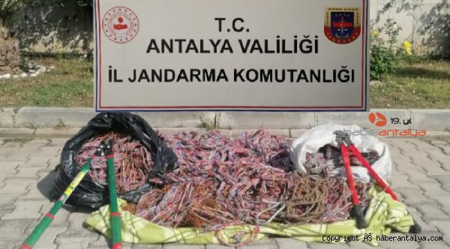Kablo hırsızlarından 3'ü tutuklandı